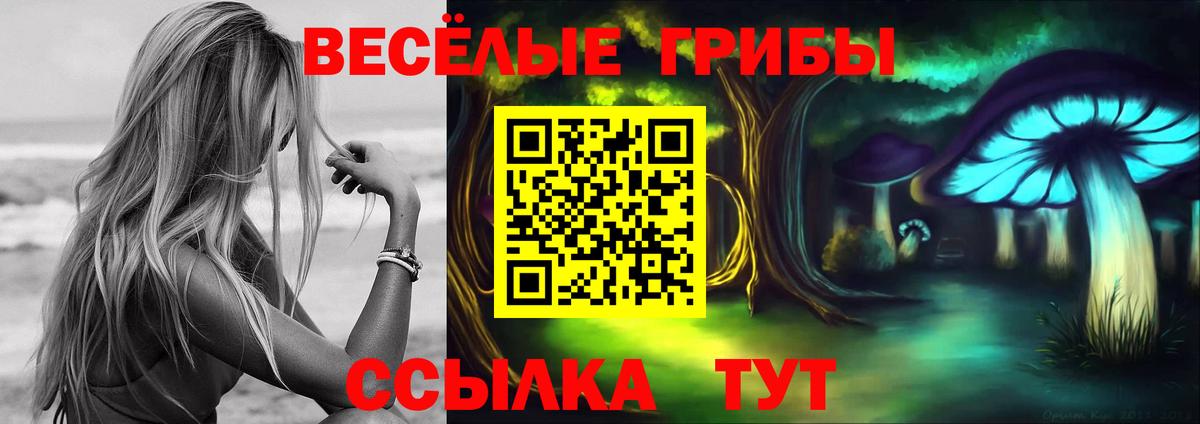 Галлюциногенные грибы MAGIC MUSHROOMS  где найти   Белово  Вход с VPN 